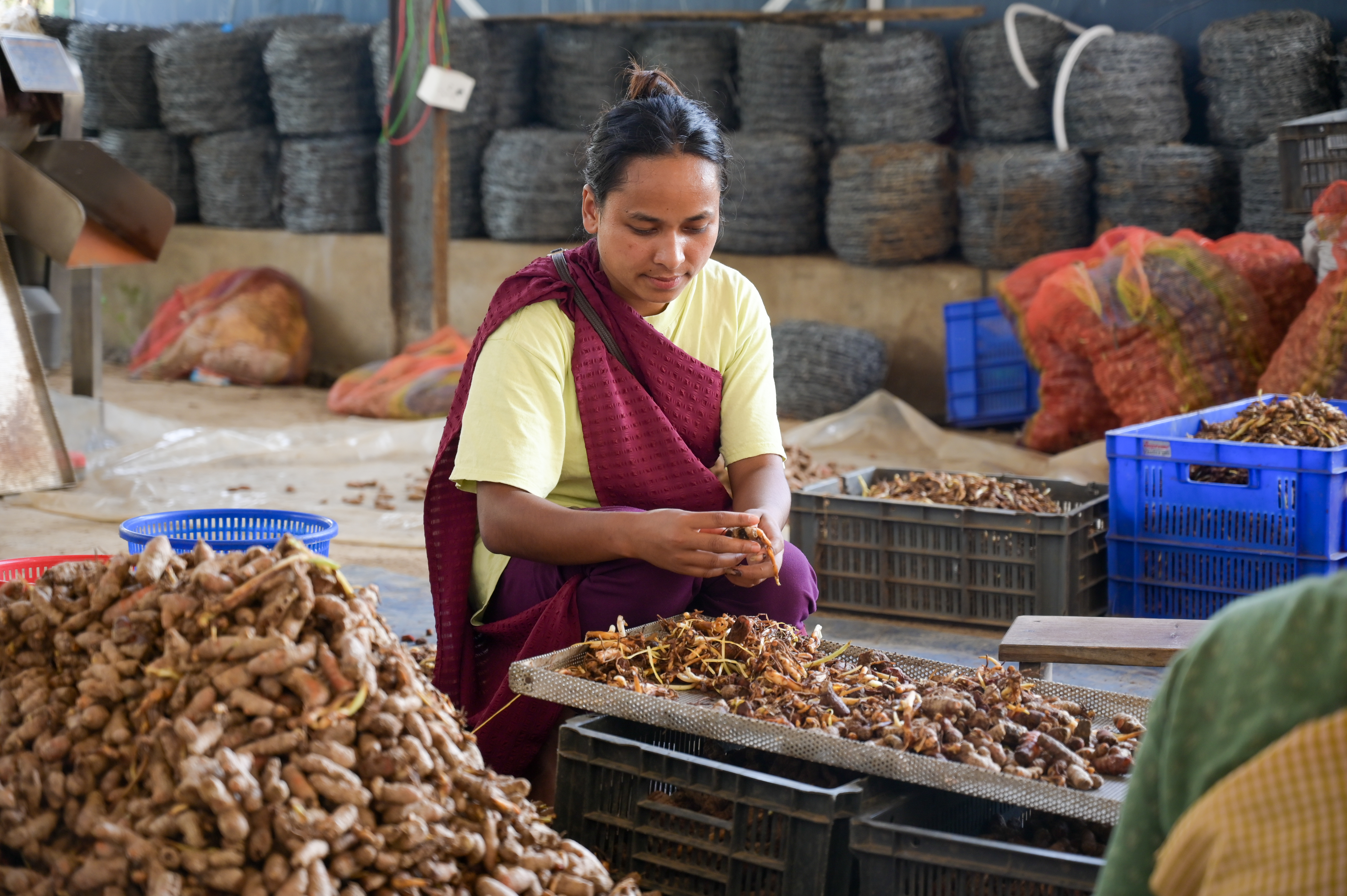 Life Spices Photo 22